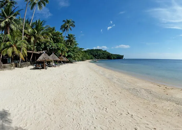 Easy Diving And Beach Resort